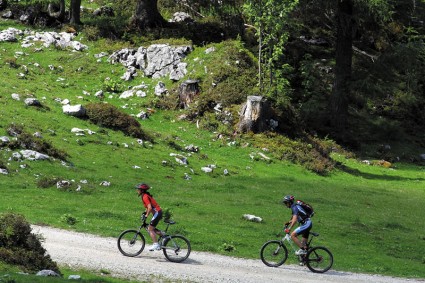 Mountainbikeurlaub in Filzmoos