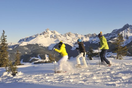 Schneeschuhwandern